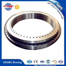 Rotary Table Bearings Cross Roller Bearing Lazy Susan Bearing (YRT460)